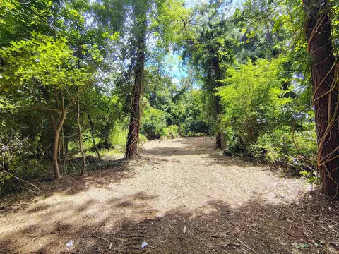 tbd Hwy 9, Longs, SC 29568 photo 14