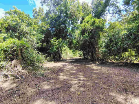 tbd Hwy 9, Longs, SC 29568 photo 17
