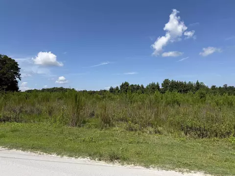 183 Dove Rd, Loris, SC 29569 photo 4