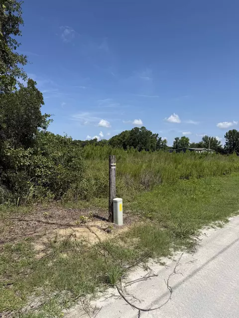 183 Dove Rd, Loris, SC 29569 photo 11