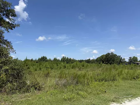 183 Dove Rd, Loris, SC 29569 photo 9