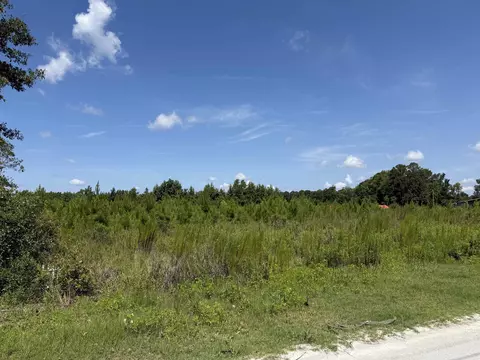 175 Dove Rd, Loris, SC 29569 photo 6