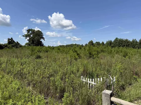 175 Dove Rd, Loris, SC 29569 photo 3