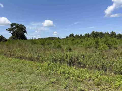 175 Dove Rd, Loris, SC 29569 photo 9