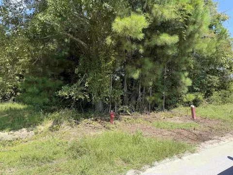 175 Dove Rd, Loris, SC 29569 photo 4
