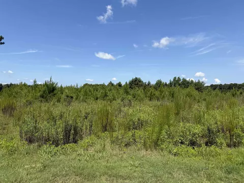 175 Dove Rd, Loris, SC 29569 photo 12