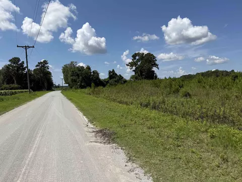 175 Dove Rd, Loris, SC 29569 photo 5
