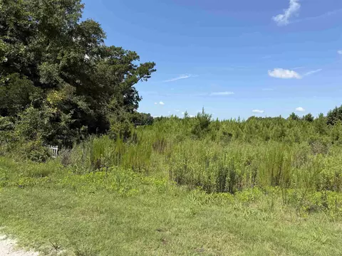 175 Dove Rd, Loris, SC 29569 photo 11