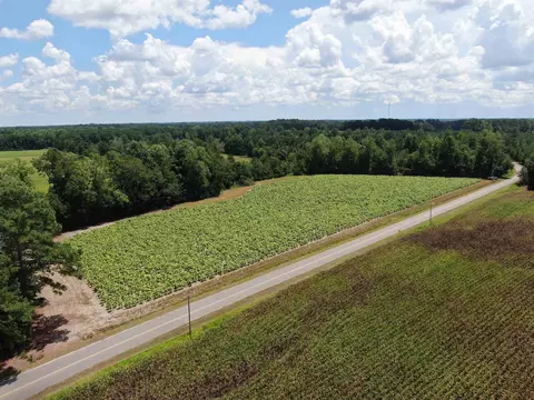 tbd Black Creek Rd, Nichols, SC 29581