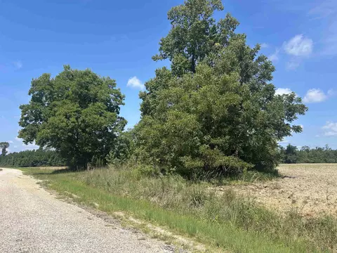 tbd Pearlie Dr, Dillon, SC 29536 photo 18