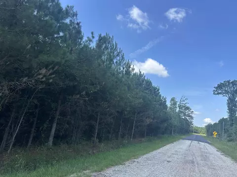 tbd Pearlie Dr, Dillon, SC 29536 photo 22