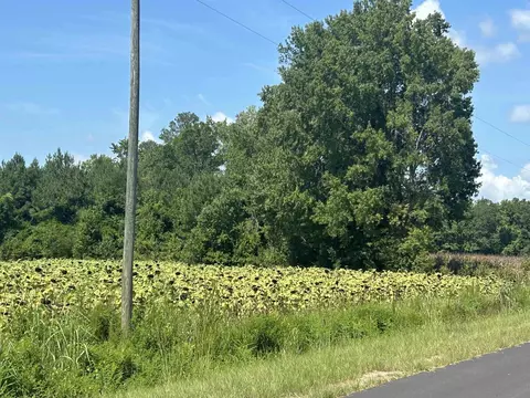 tbd Pearlie Dr, Dillon, SC 29536 photo 27