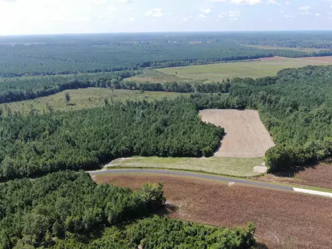 tbd Pearlie Dr, Dillon, SC 29536 photo 7