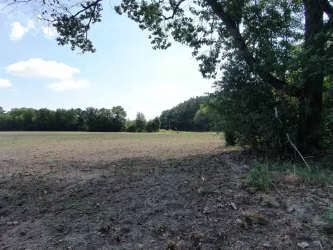 tbd Pearlie Dr, Dillon, SC 29536 photo 3
