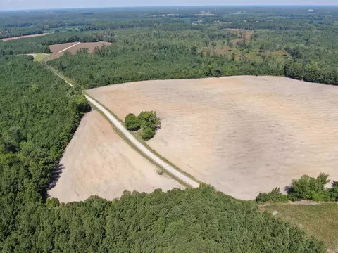 tbd Pearlie Dr, Dillon, SC 29536 photo 14