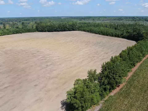 tbd Pearlie Dr, Dillon, SC 29536 photo 16