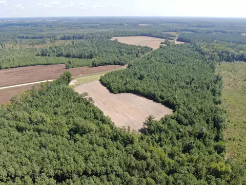 tbd Pearlie Dr, Dillon, SC 29536 photo 9