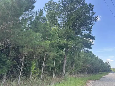 tbd Pearlie Dr, Dillon, SC 29536 photo 21