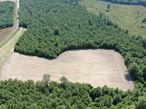 tbd Pearlie Dr, Dillon, SC 29536 photo 8