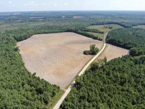 tbd Pearlie Dr, Dillon, SC 29536 photo 10