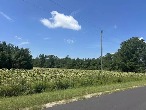 tbd Pearlie Dr, Dillon, SC 29536 photo 25