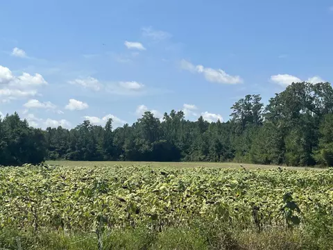 tbd Pearlie Dr, Dillon, SC 29536 photo 28