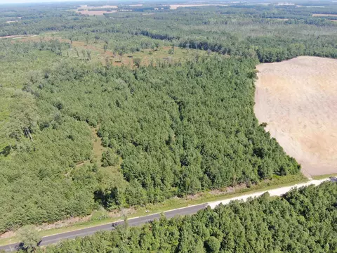 tbd Pearlie Dr, Dillon, SC 29536 photo 11