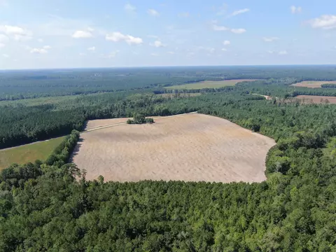 tbd Pearlie Dr, Dillon, SC 29536 photo 6