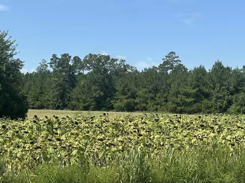 tbd Pearlie Dr, Dillon, SC 29536 photo 26