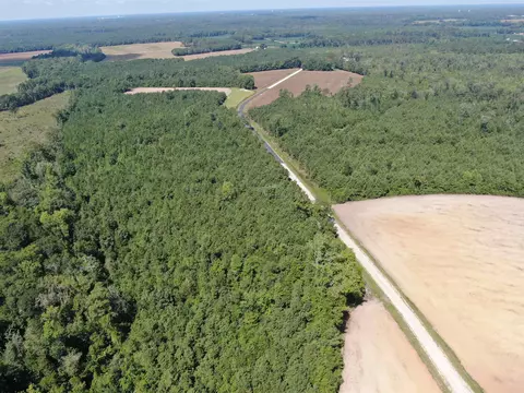 tbd Pearlie Dr, Dillon, SC 29536 photo 13