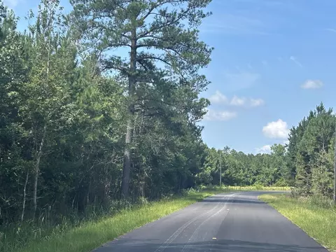 tbd Pearlie Dr, Dillon, SC 29536 photo 23