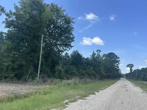 tbd Pearlie Dr, Dillon, SC 29536 photo 20