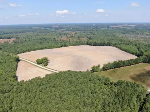 tbd Pearlie Dr, Dillon, SC 29536 photo 5