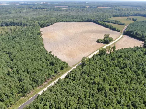 tbd Pearlie Dr, Dillon, SC 29536 photo 12