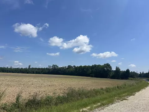 tbd Pearlie Dr, Dillon, SC 29536 photo 17