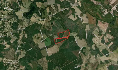 tbd Pearlie Dr, Dillon, SC 29536 photo 2