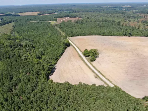 tbd Pearlie Dr, Dillon, SC 29536 photo 15