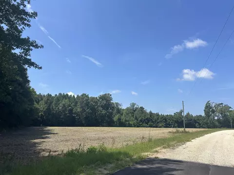 tbd Pearlie Dr, Dillon, SC 29536 photo 19