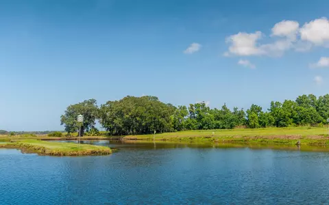 View/Area - 77 Pheasant Loop #312, Georgetown, SC 29440 photo 1 of 3
