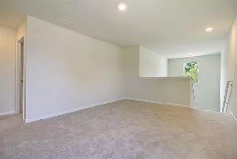 Other - 1265 Patchouli Dr, Longs, SC 29568 photo 3 of 7