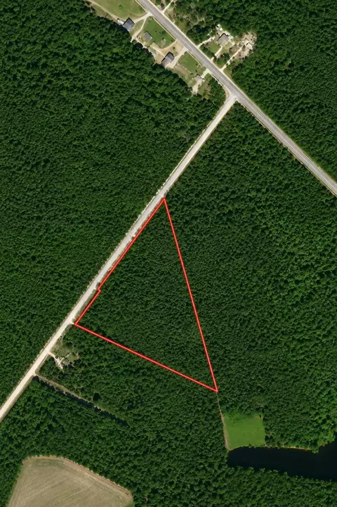 tbd Wolf Pit Bay Rd, Nichols, SC 29581