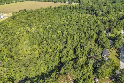 tbd Lyons Ln, Longs, SC 29568 photo 5