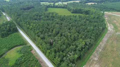 lot2 Fries Bay Rd, Loris, SC 29569 photo 2