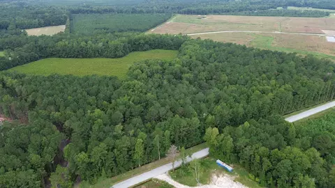 lot2 Fries Bay Rd, Loris, SC 29569 photo 5