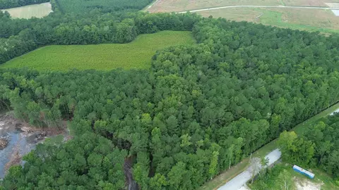 lot2 Fries Bay Rd, Loris, SC 29569 photo 4