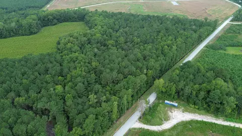 lot2 Fries Bay Rd, Loris, SC 29569 photo 3