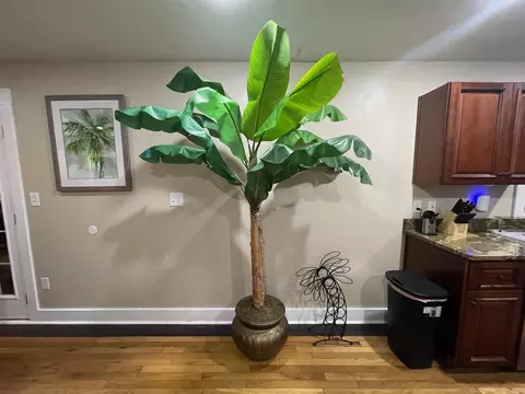 Other - 7 Pine Valley Ln, Myrtle Beach, SC 29575 photo 4 of 7