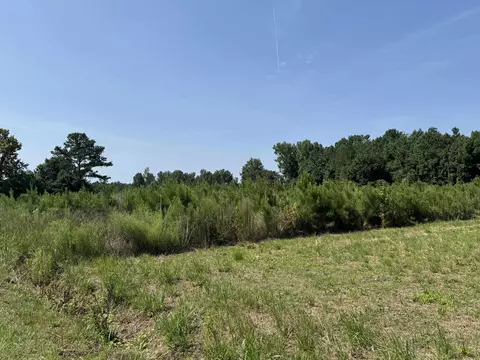 tbd Spring Branch Rd, Nichols, SC 29581