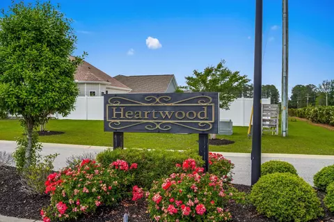 View/Area - 255 Copperwood Loop, Conway, SC 29526 photo 15 of 22