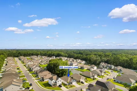 View/Area - 205 Juniata Loop, Little River, SC 29566 photo 1 of 5